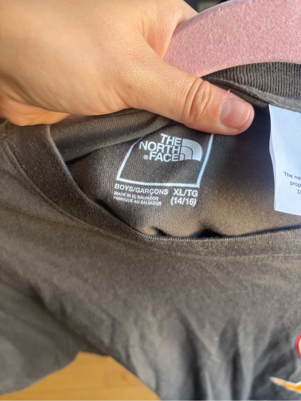 The North Face north face